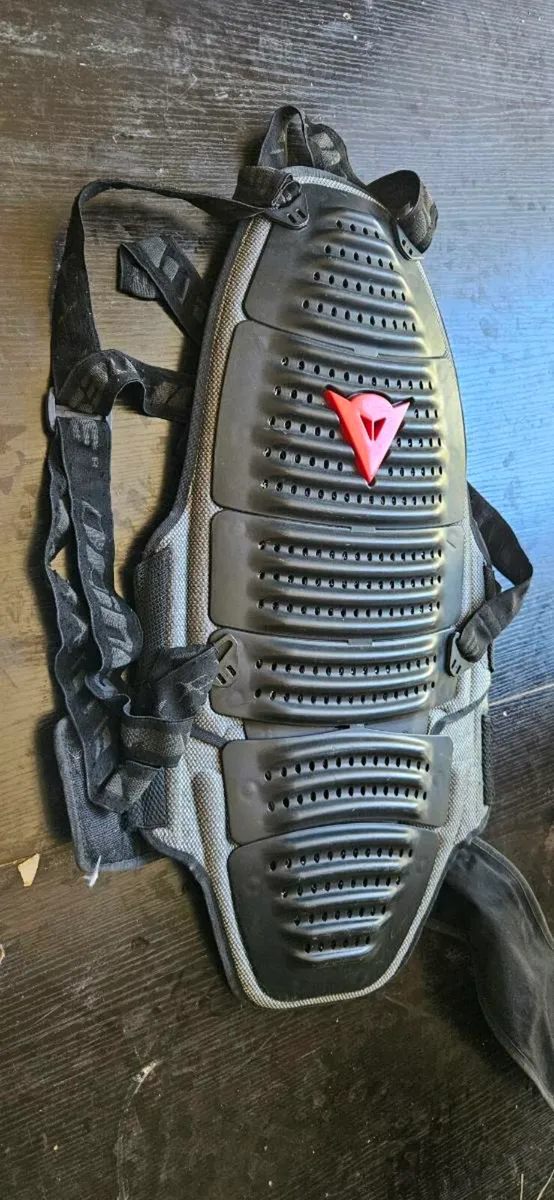 Dainese Back Protectors (x2) - Large - Image 1