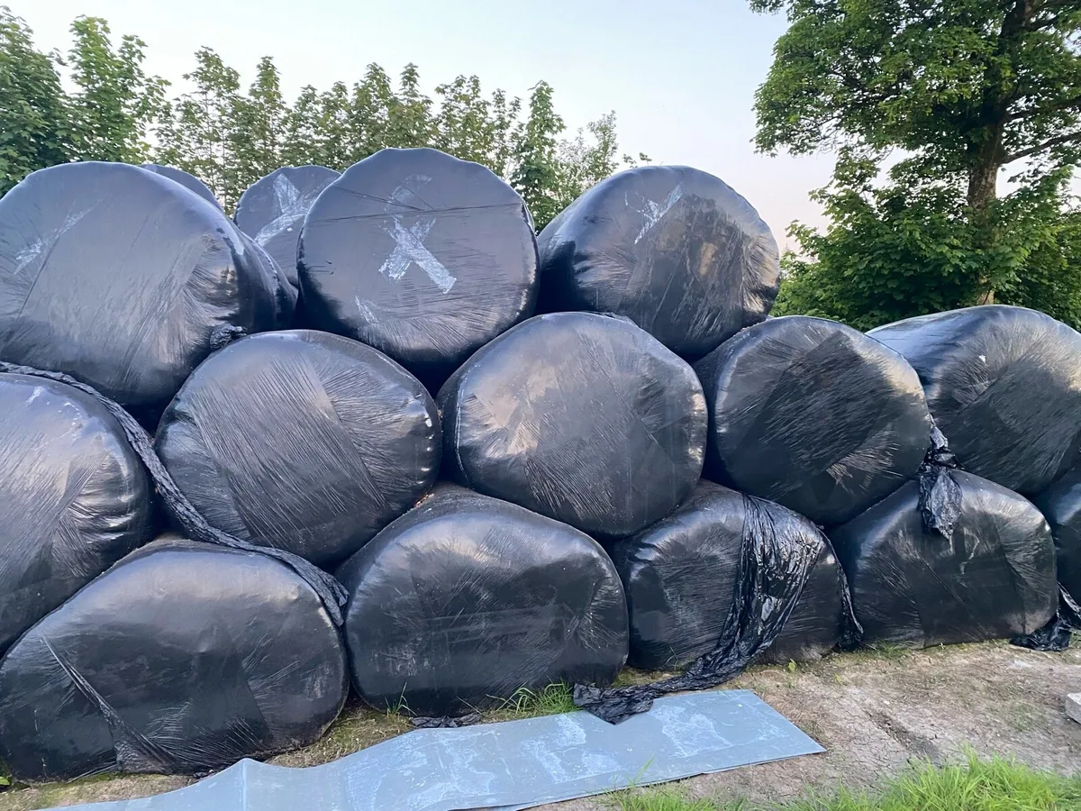 Silage bales