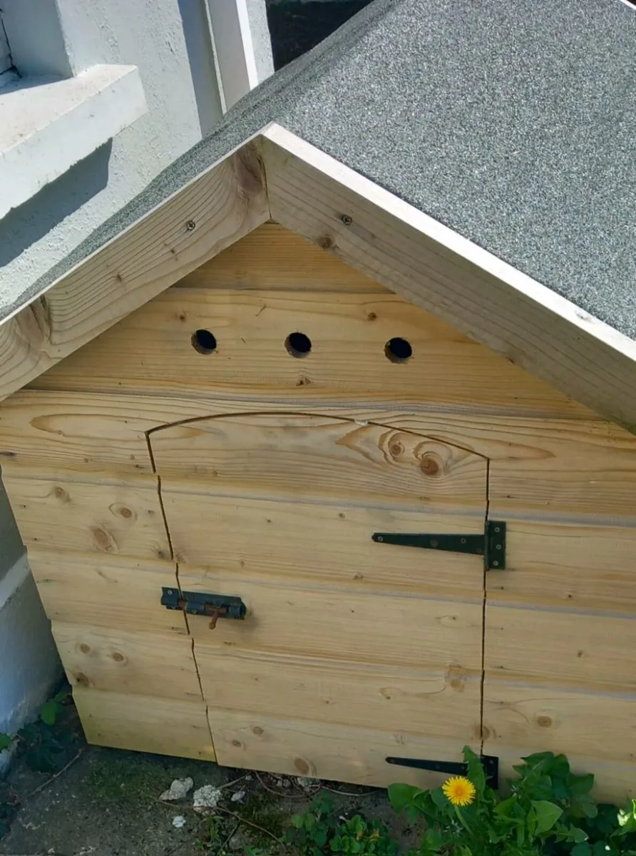 Ex large Dog House