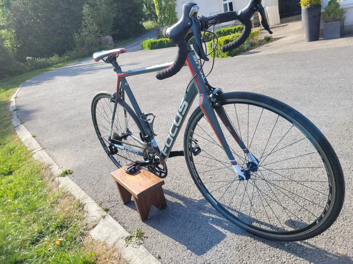 Focus Cayo Alu 105 Road Bike - Large - Image 2