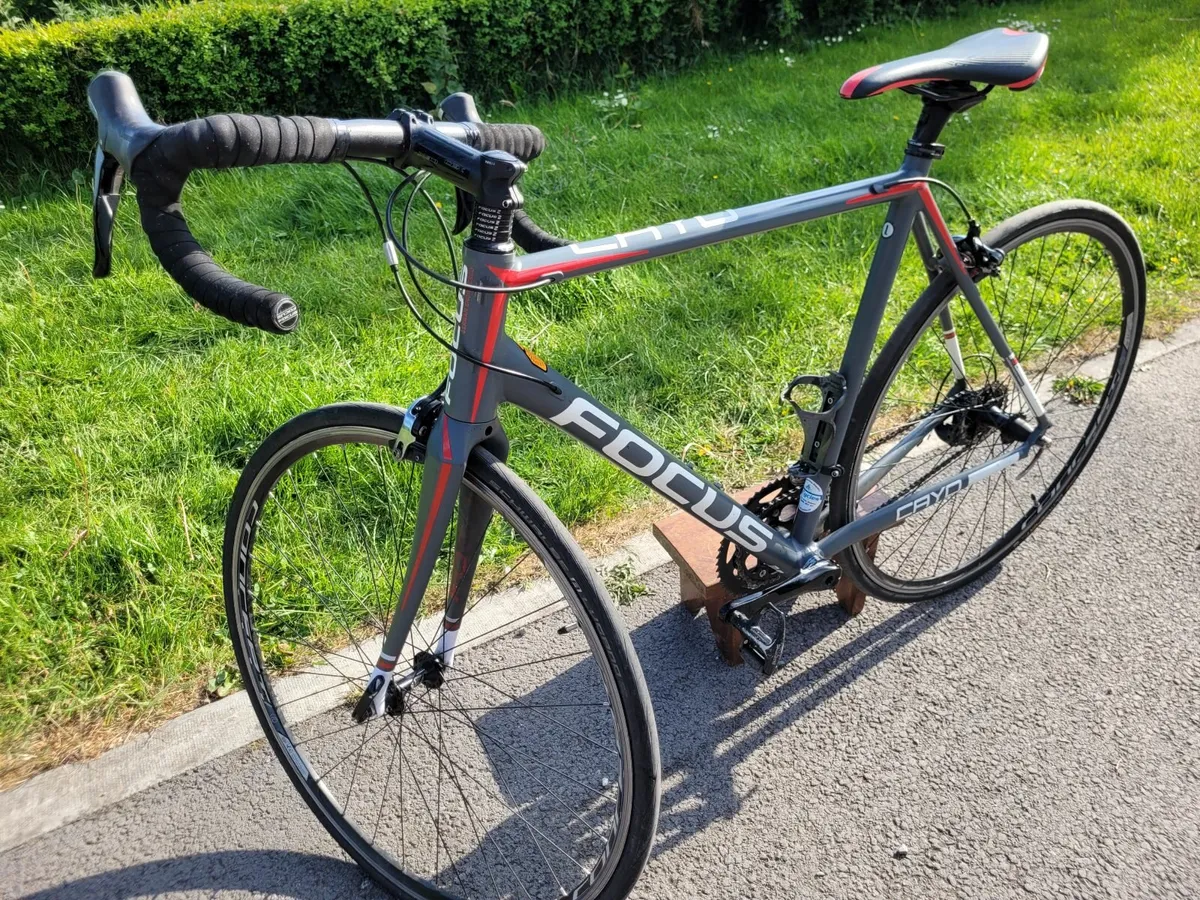 Focus Cayo Alu 105 Road Bike - Large - Image 1