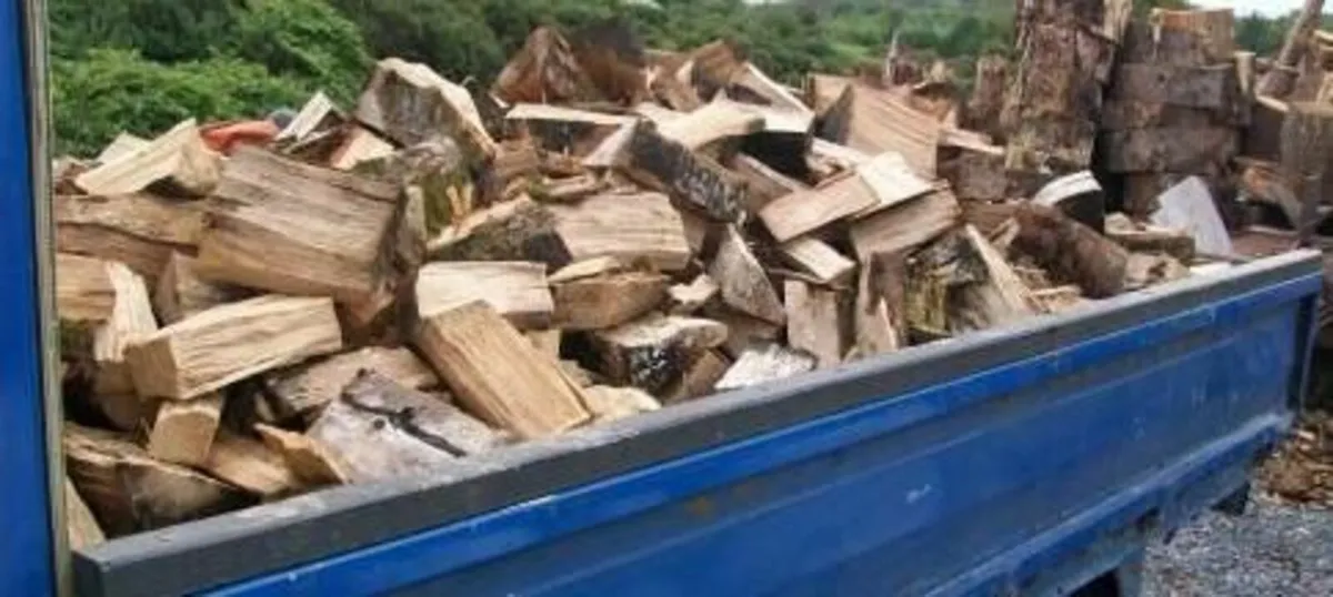 Firewood - Image 1