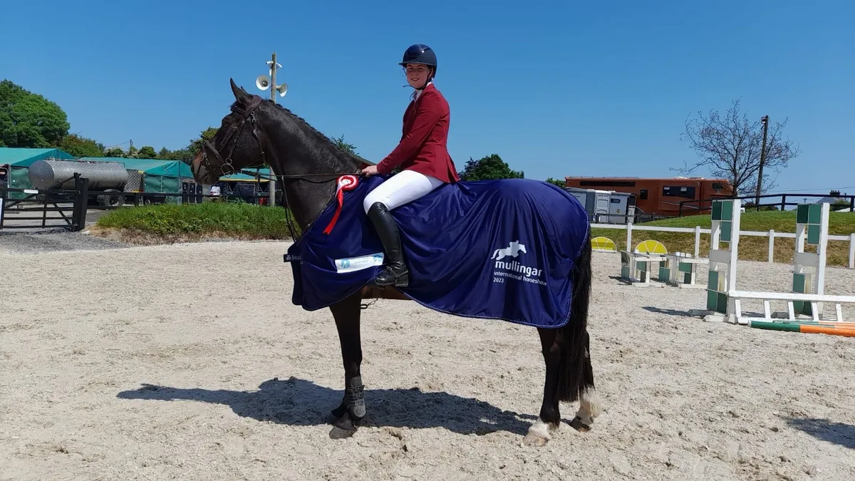 Schooling and Livery - Image 3