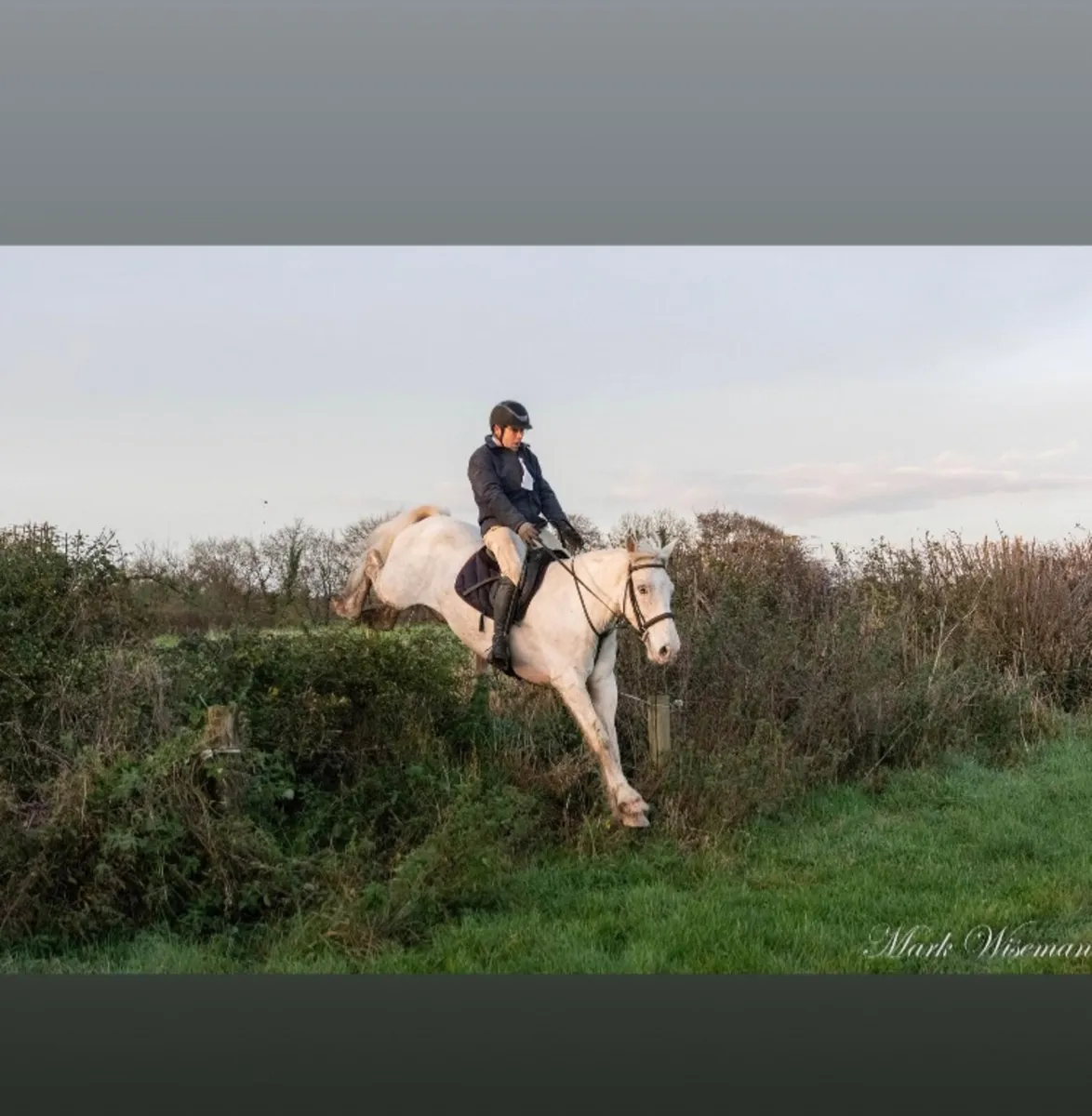Schooling and Livery - Image 1
