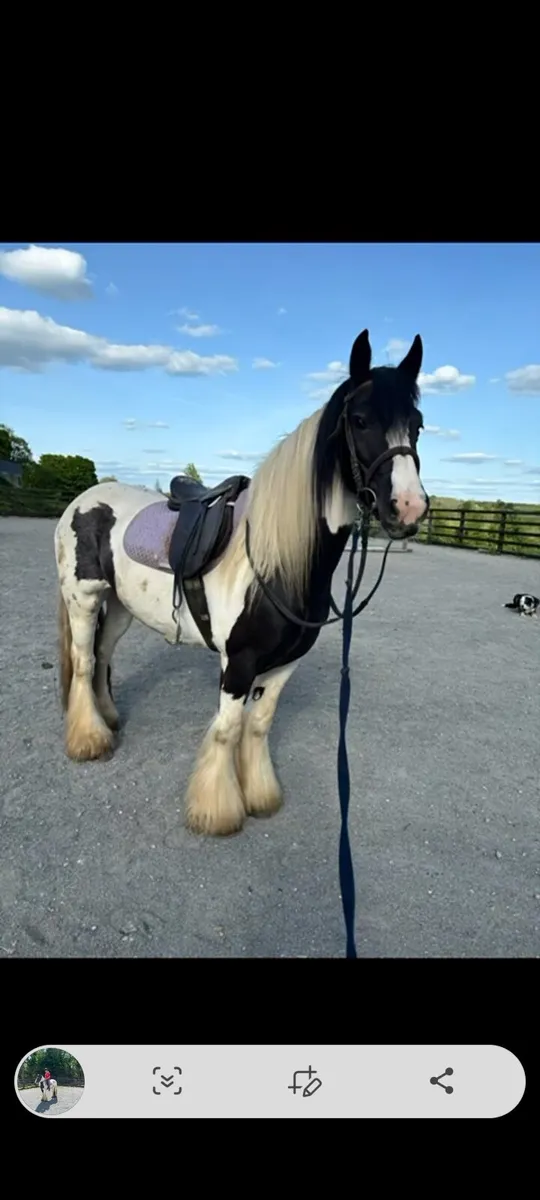 Heavy Cob - Image 1