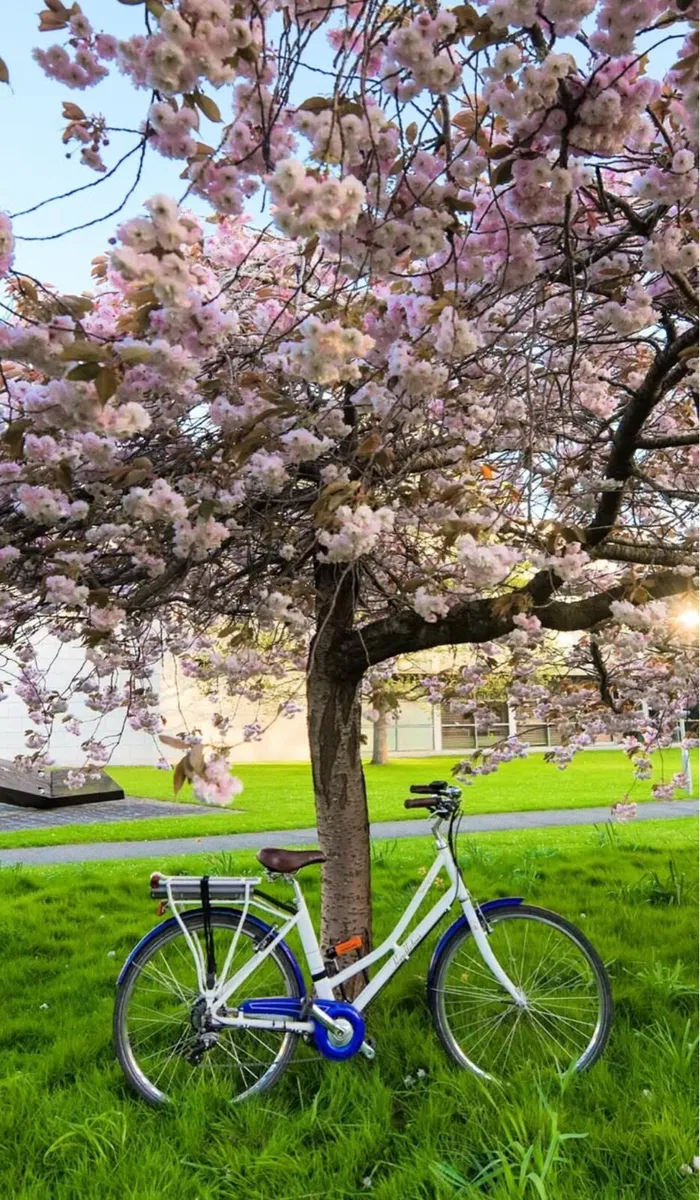 Pendleton Hybrid E-bike
