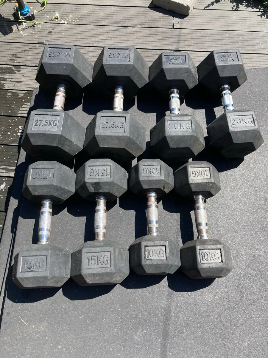 Rubber Hex Dumbbells - Image 1