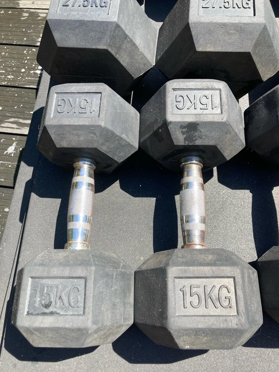 Rubber Hex Dumbbells - Image 2