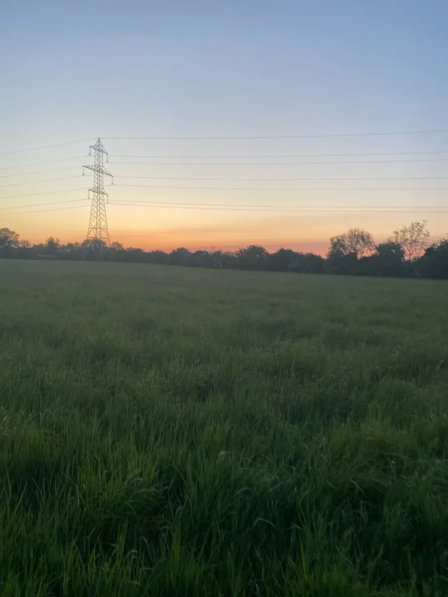 Land wanted