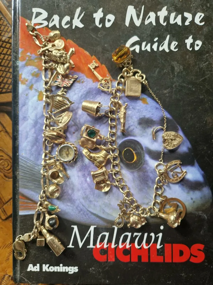 9ct Charm bracelets + 2 - Image 1