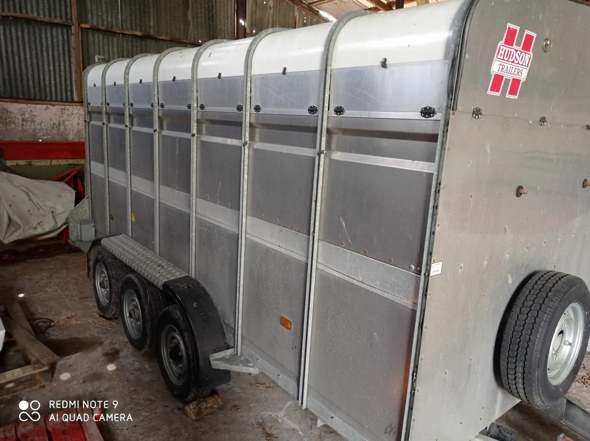 Hudson cattle trailer - Image 3