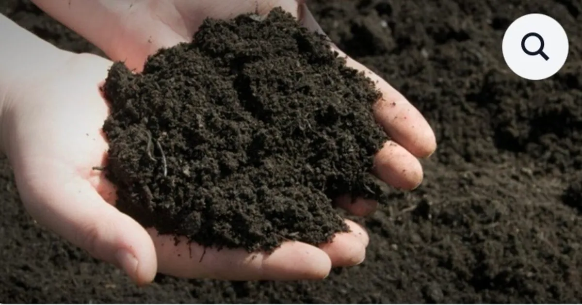 Topsoil - Image 1