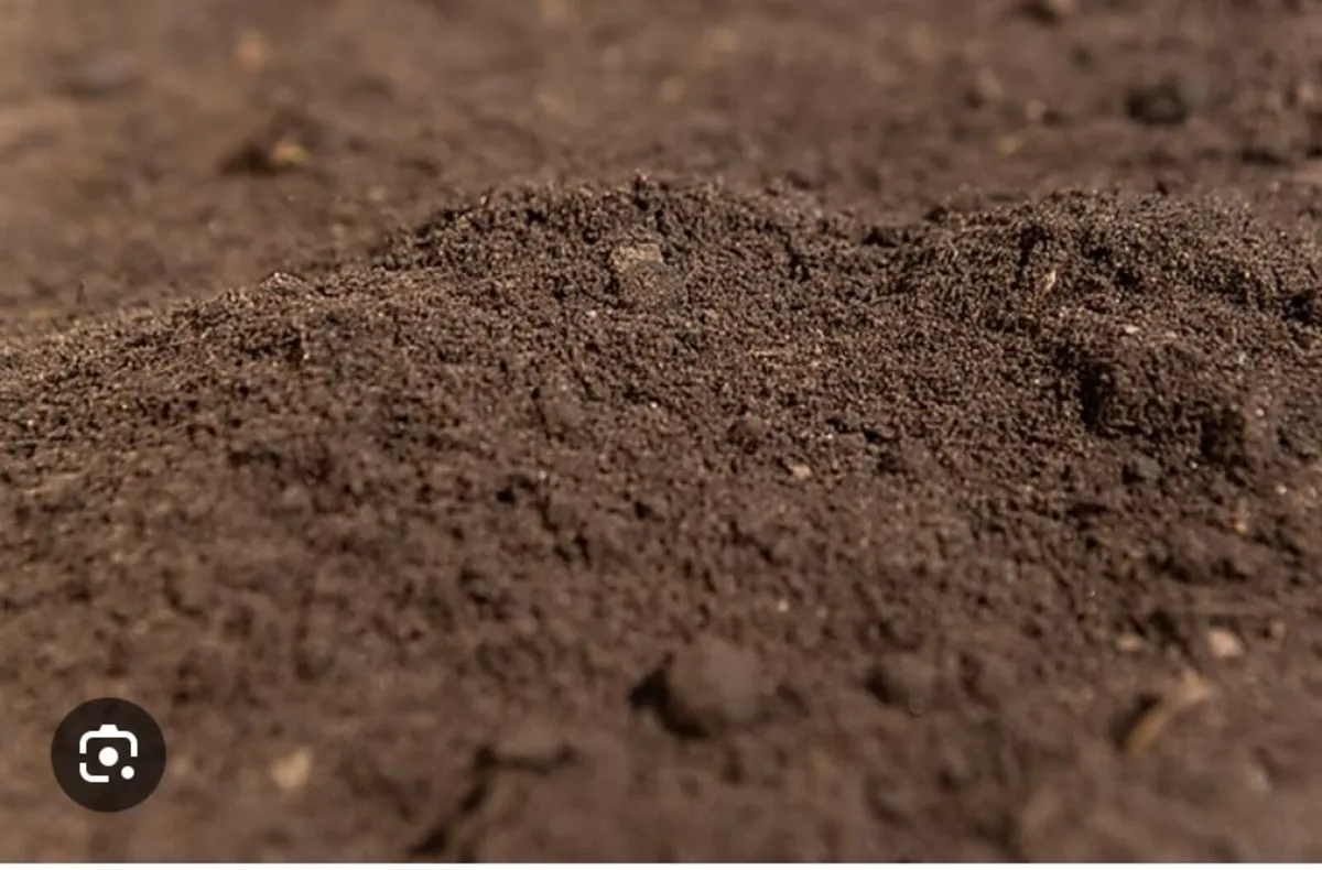 Topsoil - Image 2