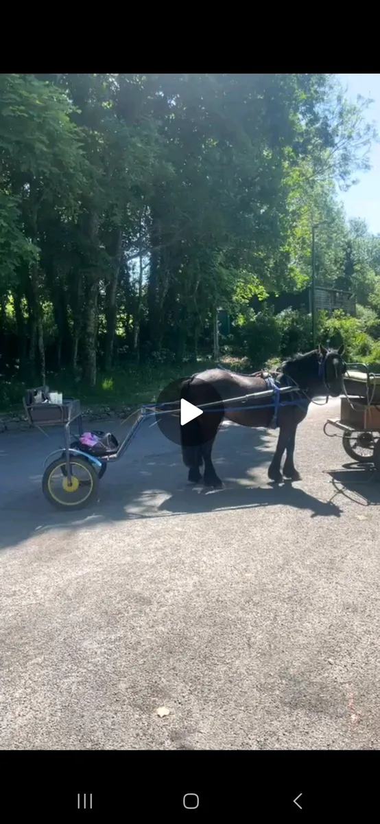 Driving Cob for sale - Image 1