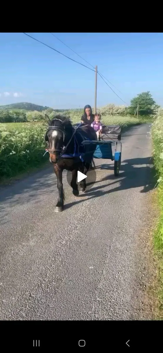 Driving Cob for sale - Image 3