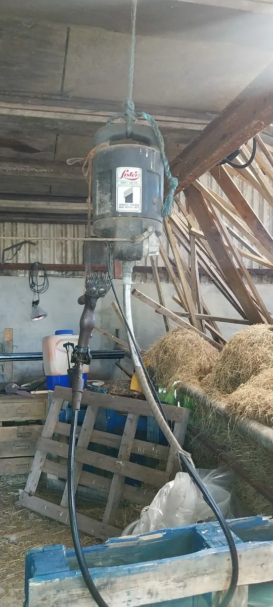 Sheep shears