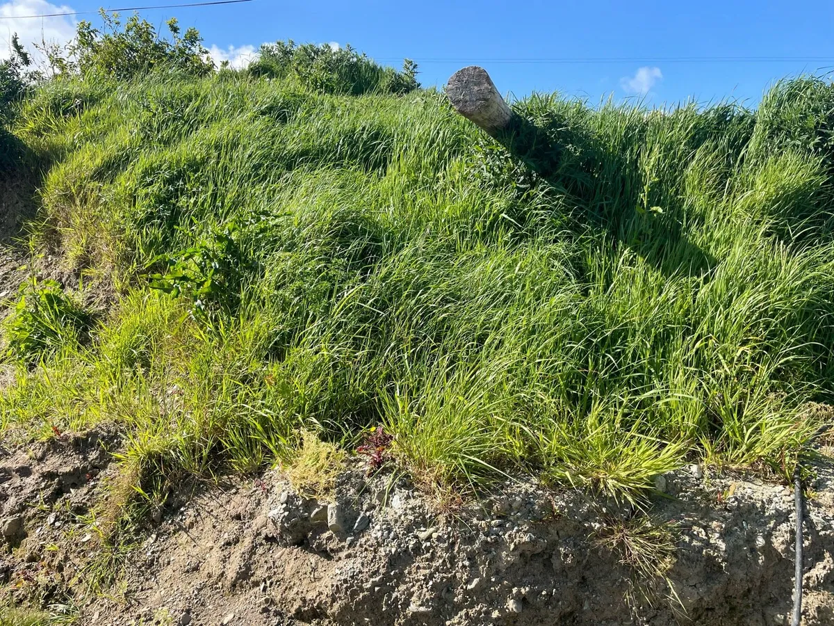 Top Soil 80-90 ton - Image 1
