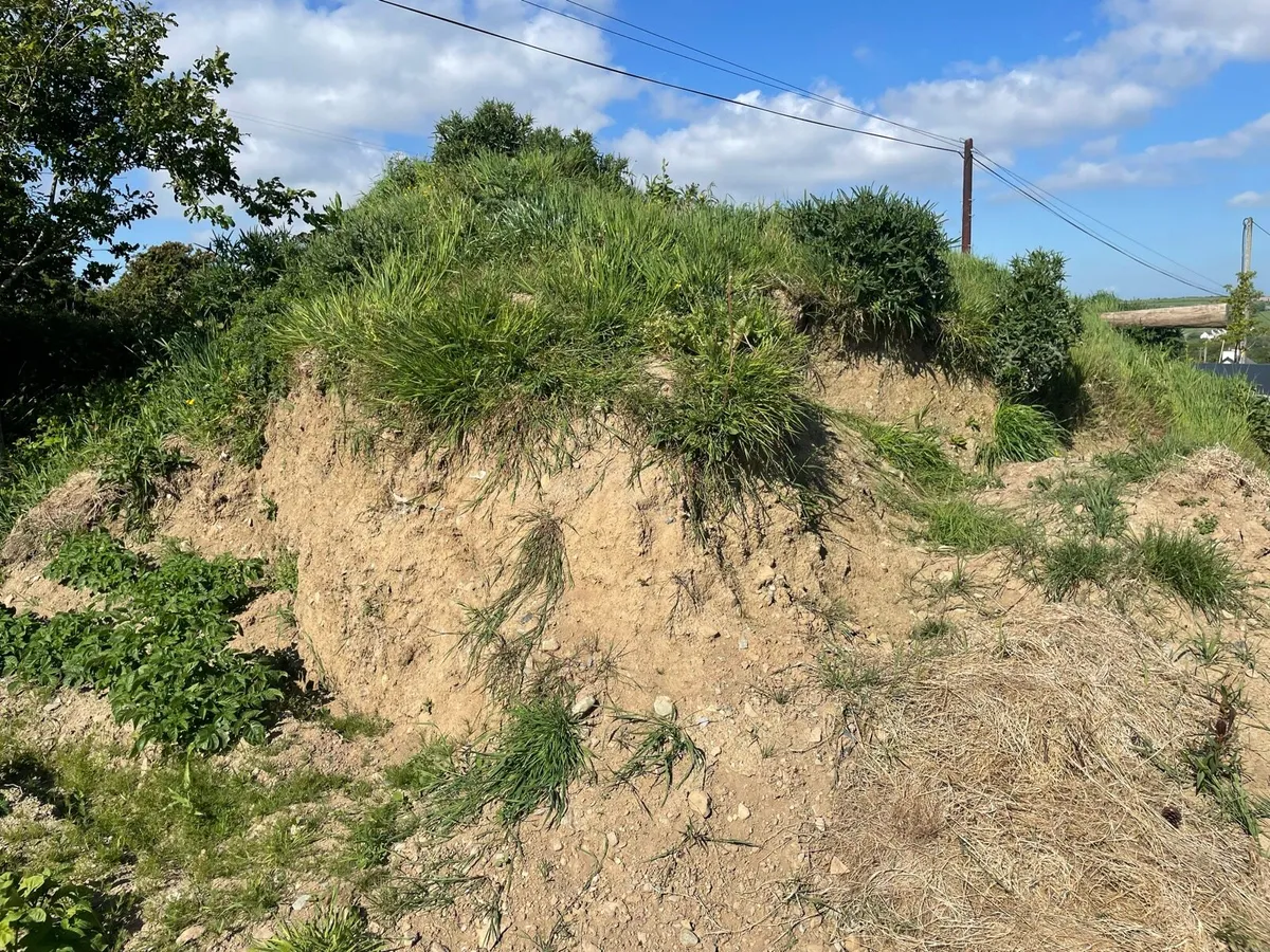 Top Soil 80-90 ton - Image 2