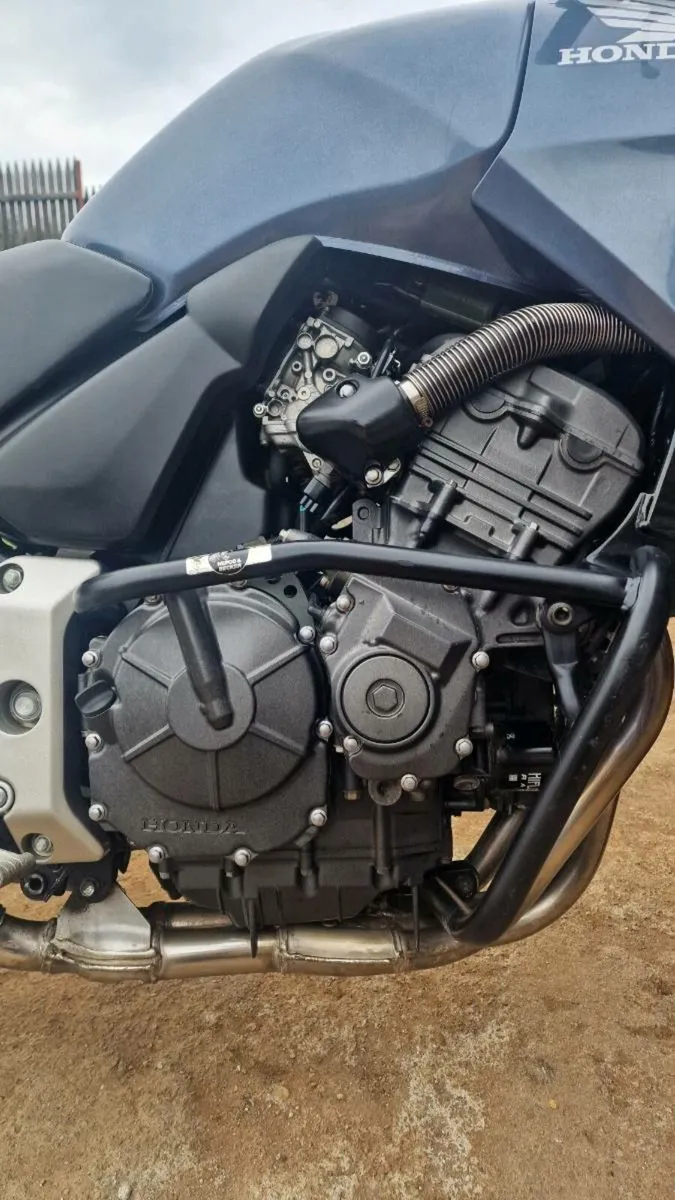 Honda CBF600 Only 19,000km! - Image 2