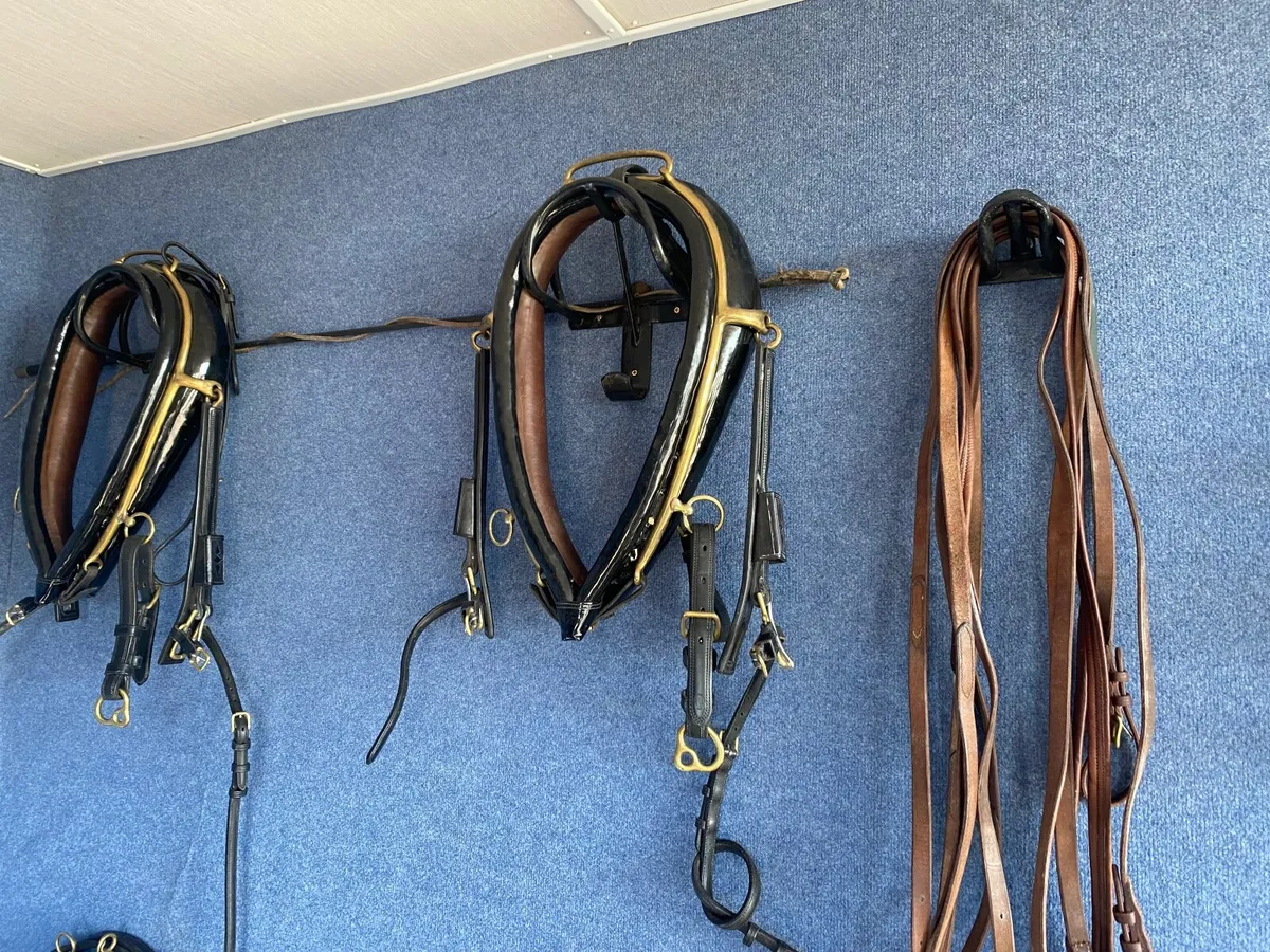 Pony pairs Harness - Image 1