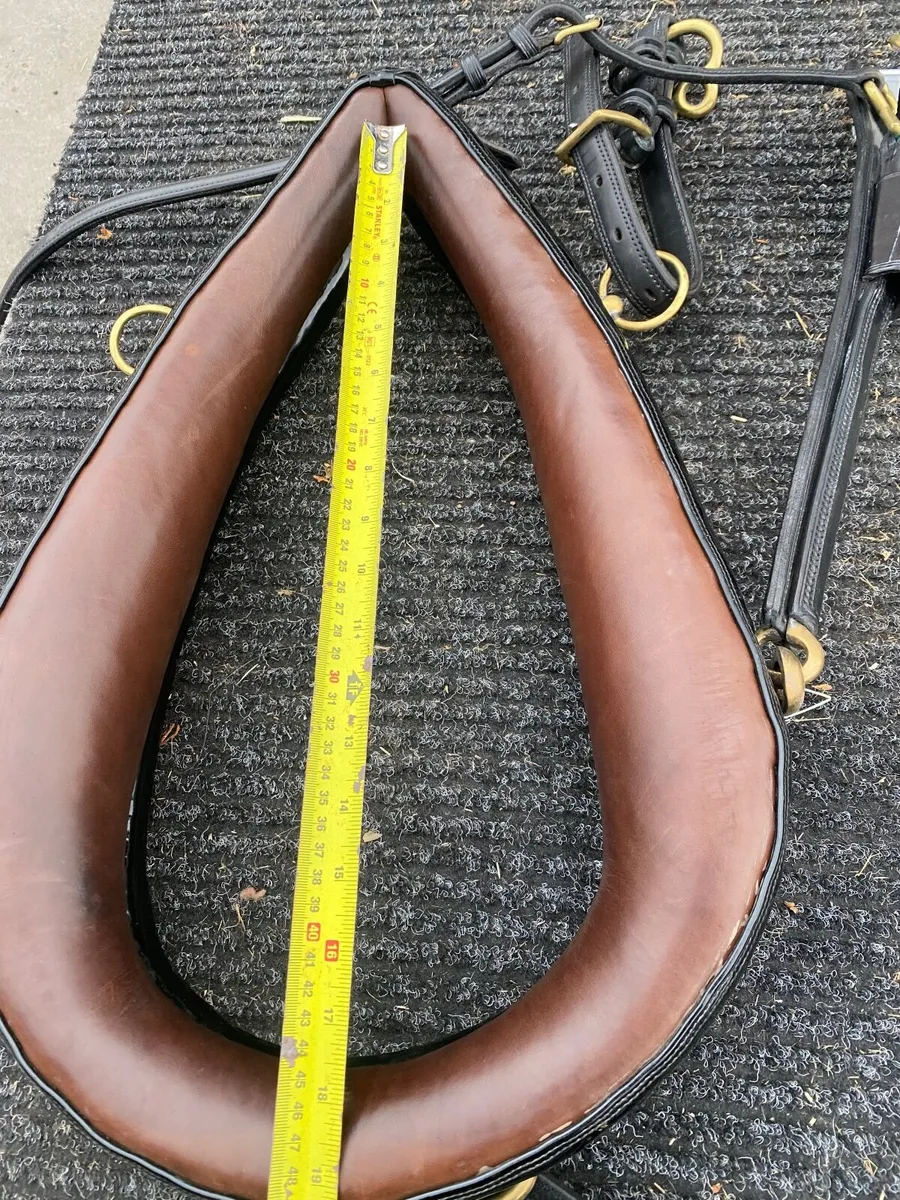 Pony pairs Harness - Image 3