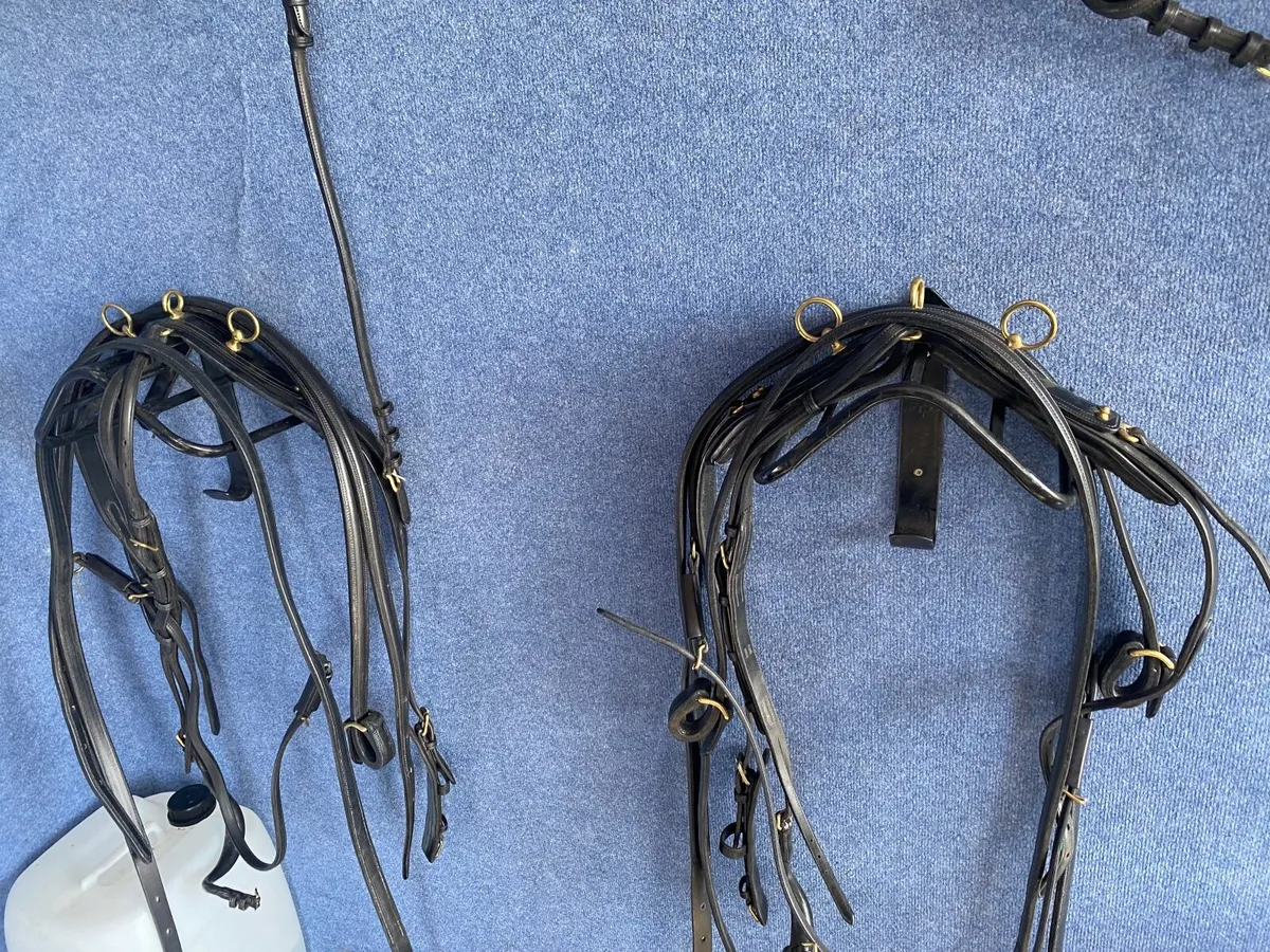Pony pairs Harness - Image 4