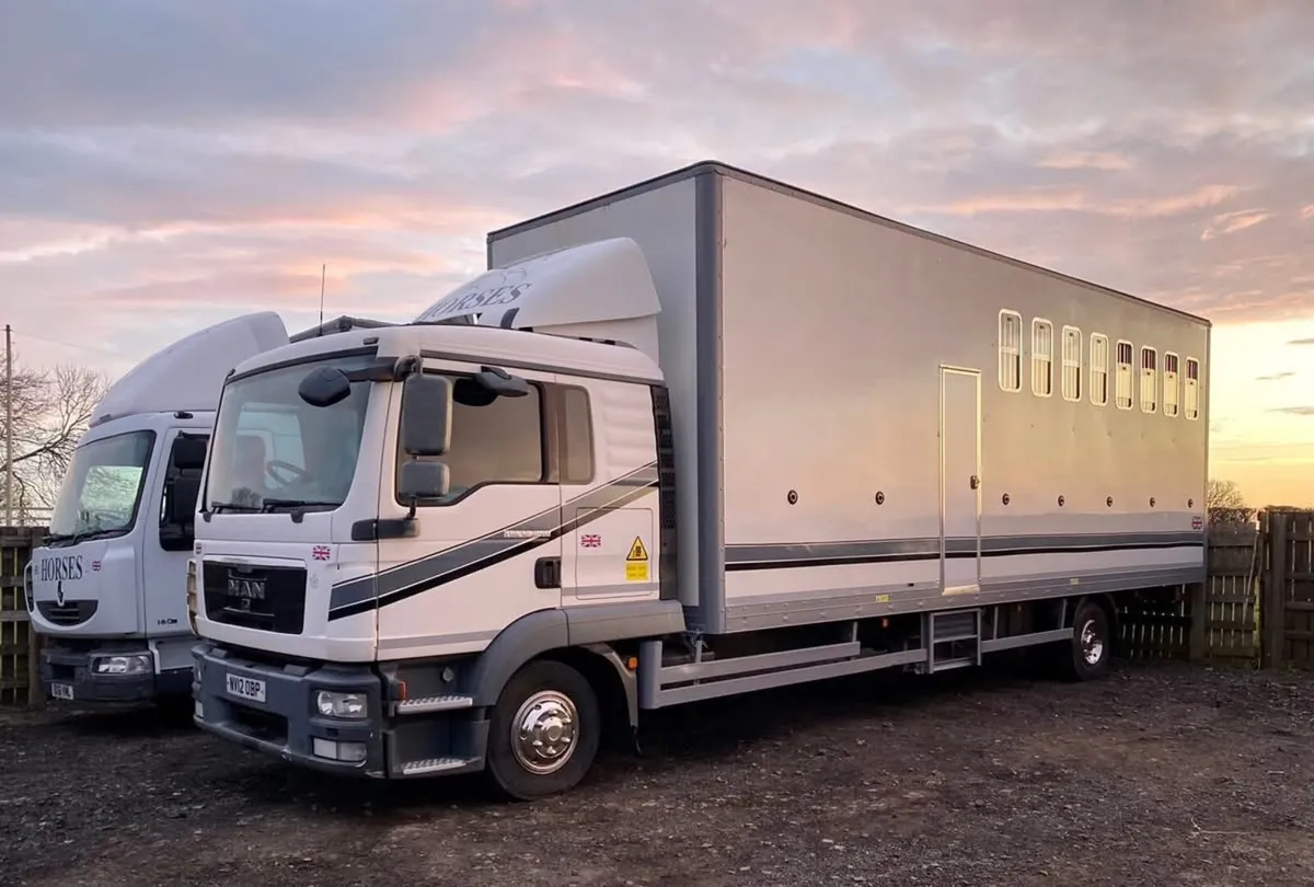 2012 Man 12 ton Horsebox - Image 1