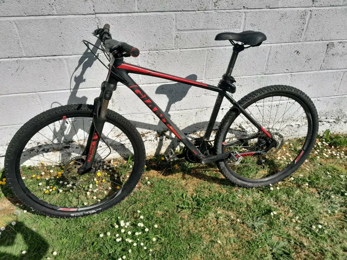 Bicycle - Image 1