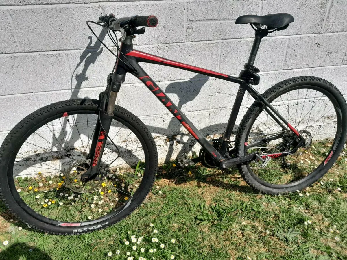 Bicycle - Image 2