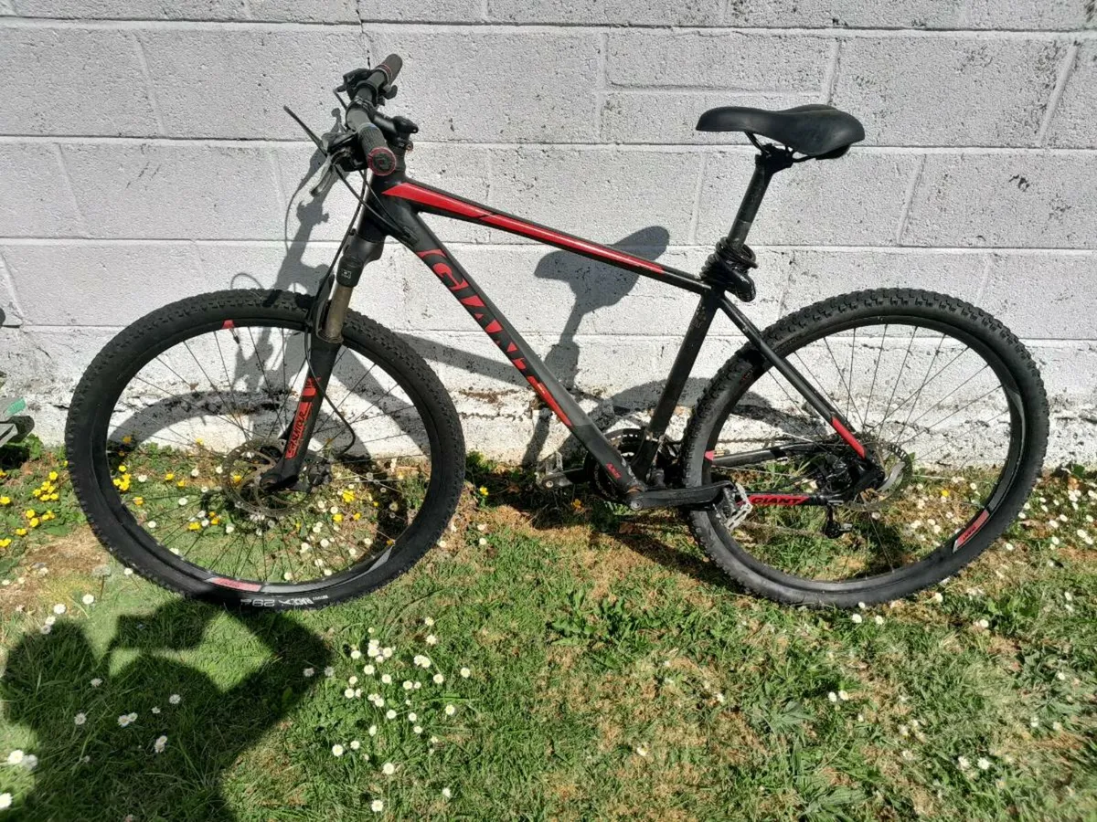 Bicycle - Image 3