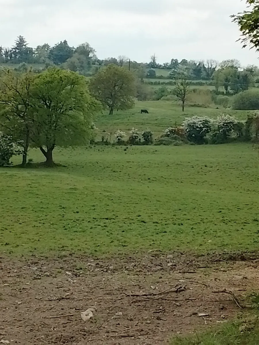 Cowboys and Heroes Accommodation