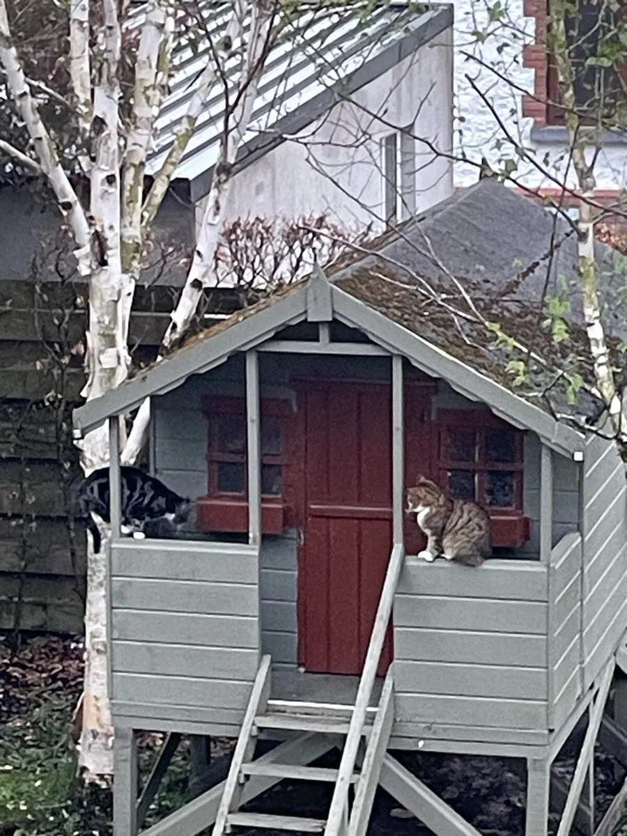 Children’s Tree House - Image 3