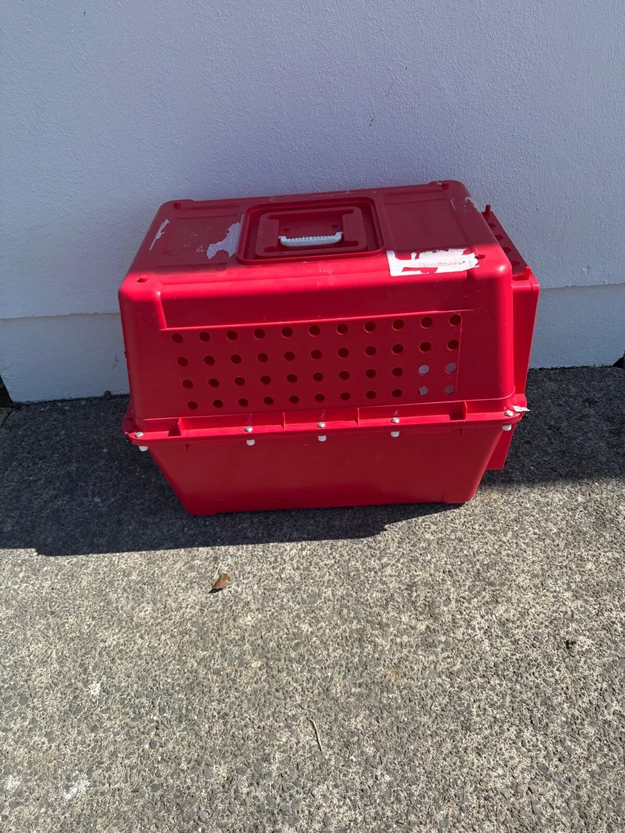 Dog Travel Crate - Image 2