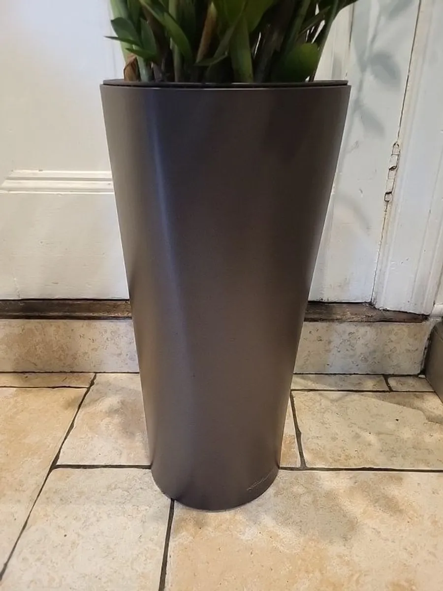 Zamioculcas Zamifolia planter - Image 4