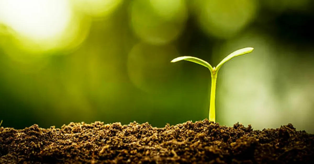 Your Farm, Your Savings, Our Fertiliser - Image 1