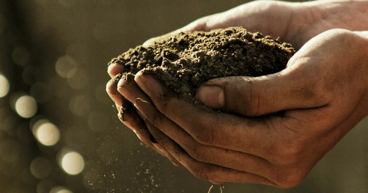 Your Farm, Your Savings, Our Fertiliser - Image 1
