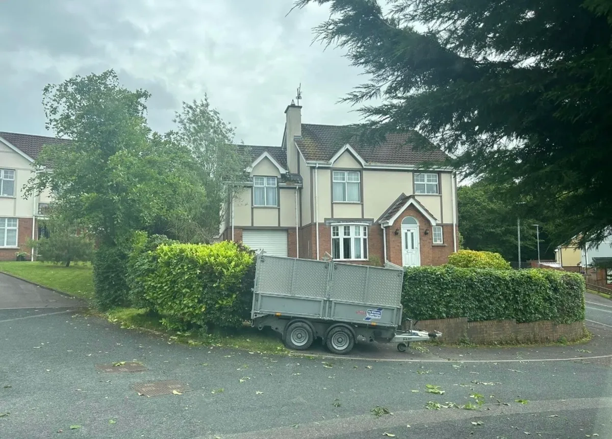 Hedge cutting - Image 3