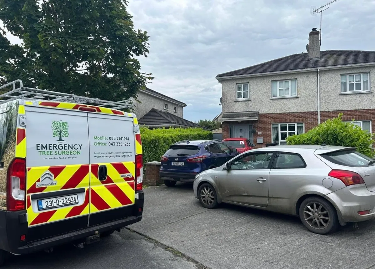 Hedge cutting - Image 4