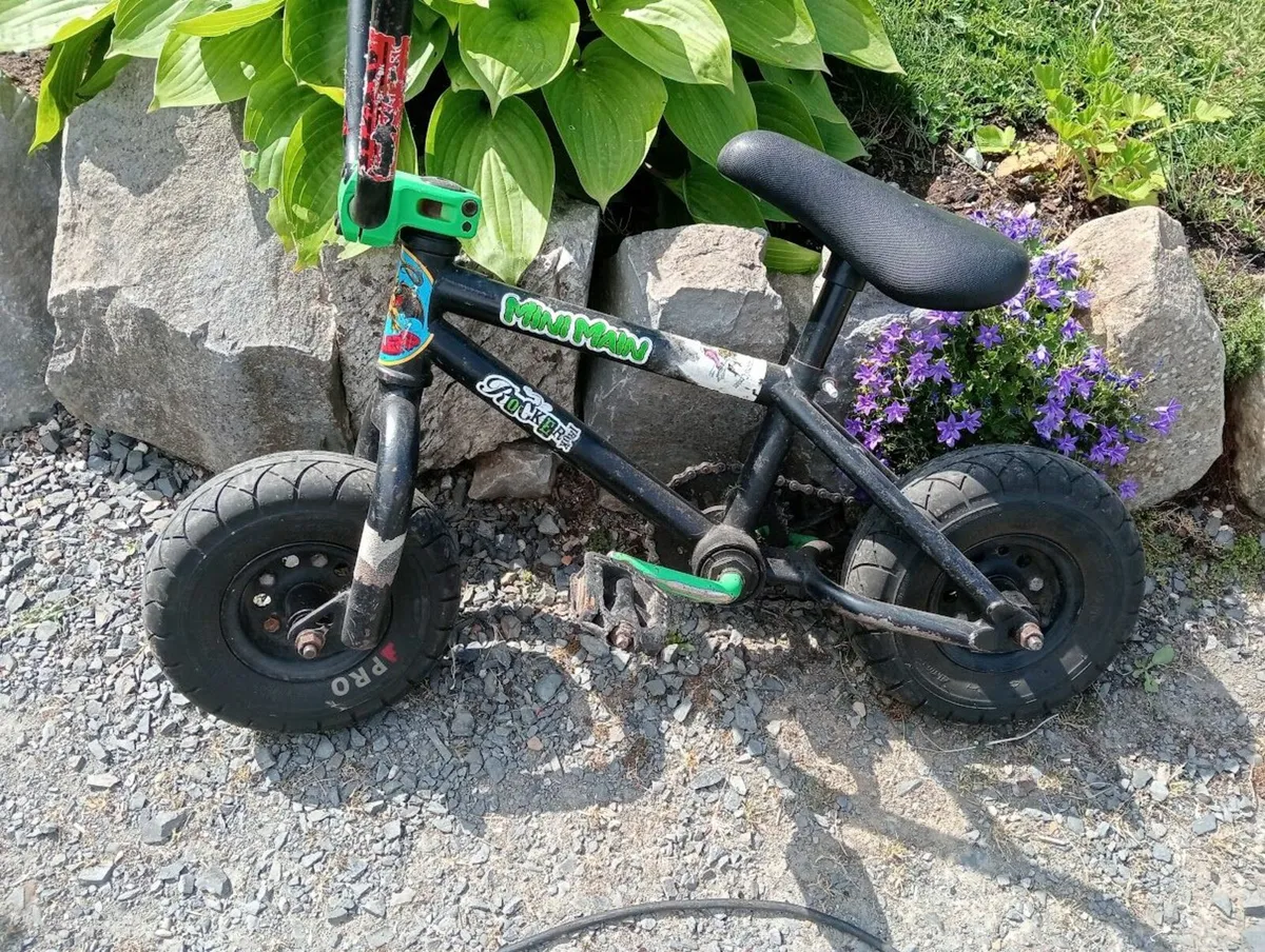 Mini Rocker Bike: Limerick City