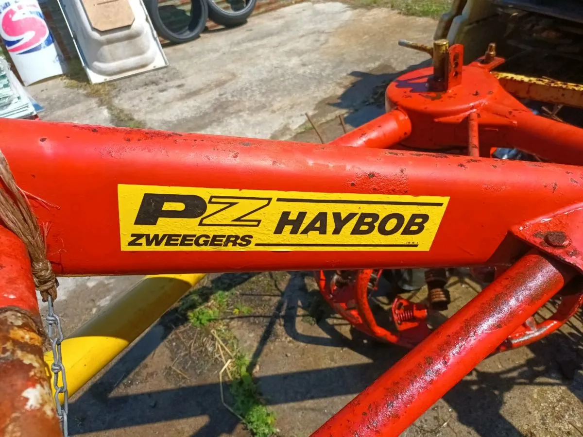 Pz haybob - Image 2