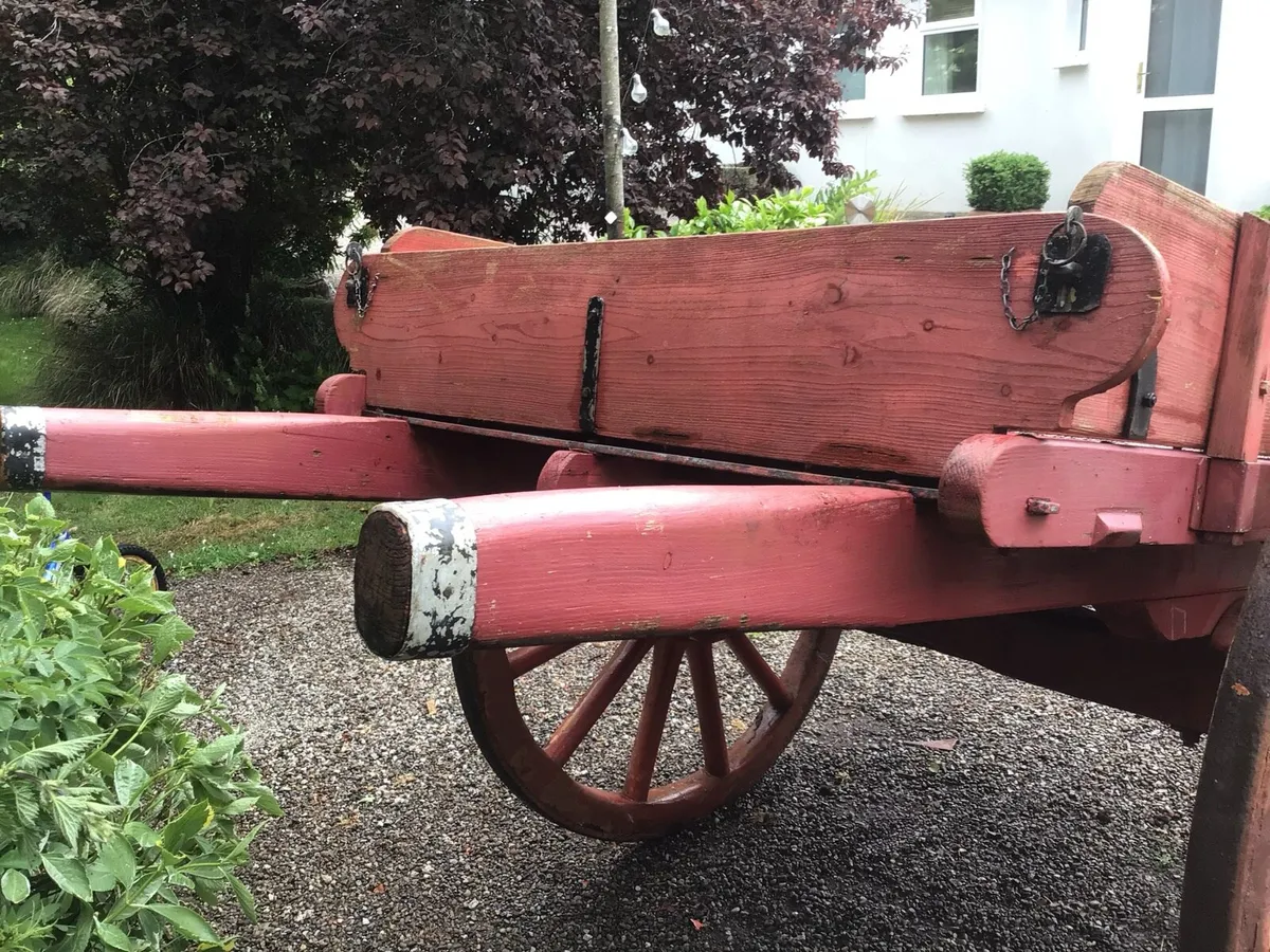 Horse car - Image 4