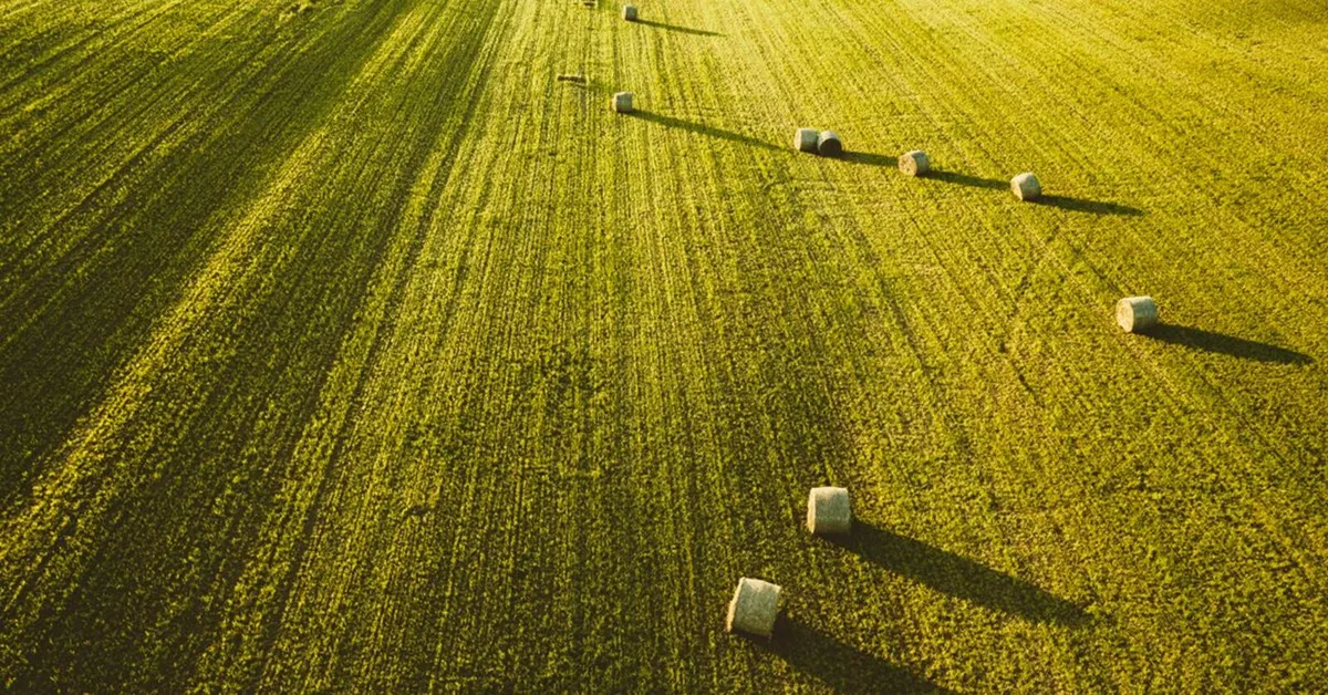 Save on Fertiliser & Boost Yields! - Image 2
