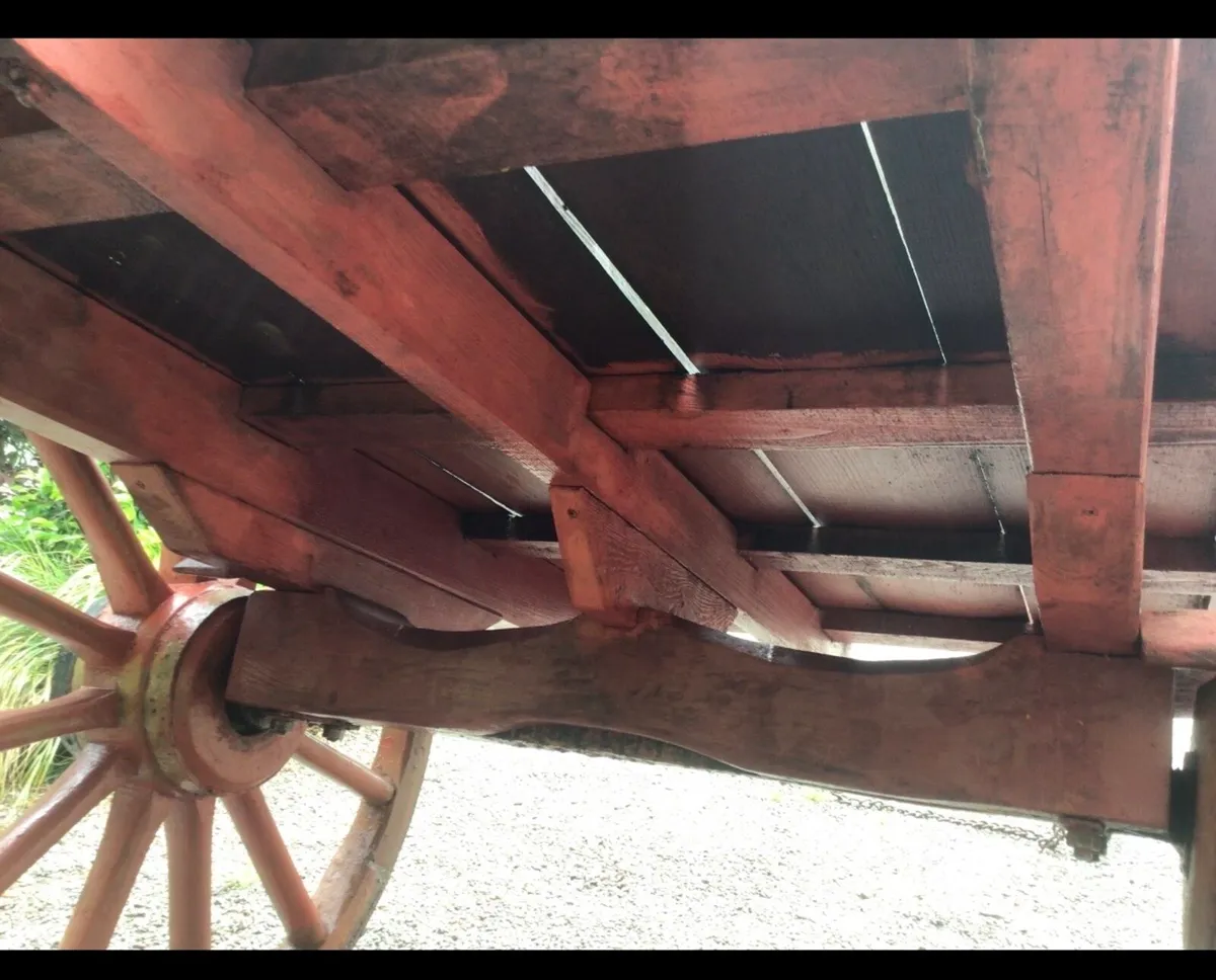 Horse car - Image 2