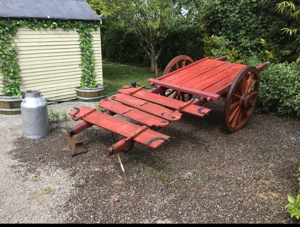 Horse car - Image 3