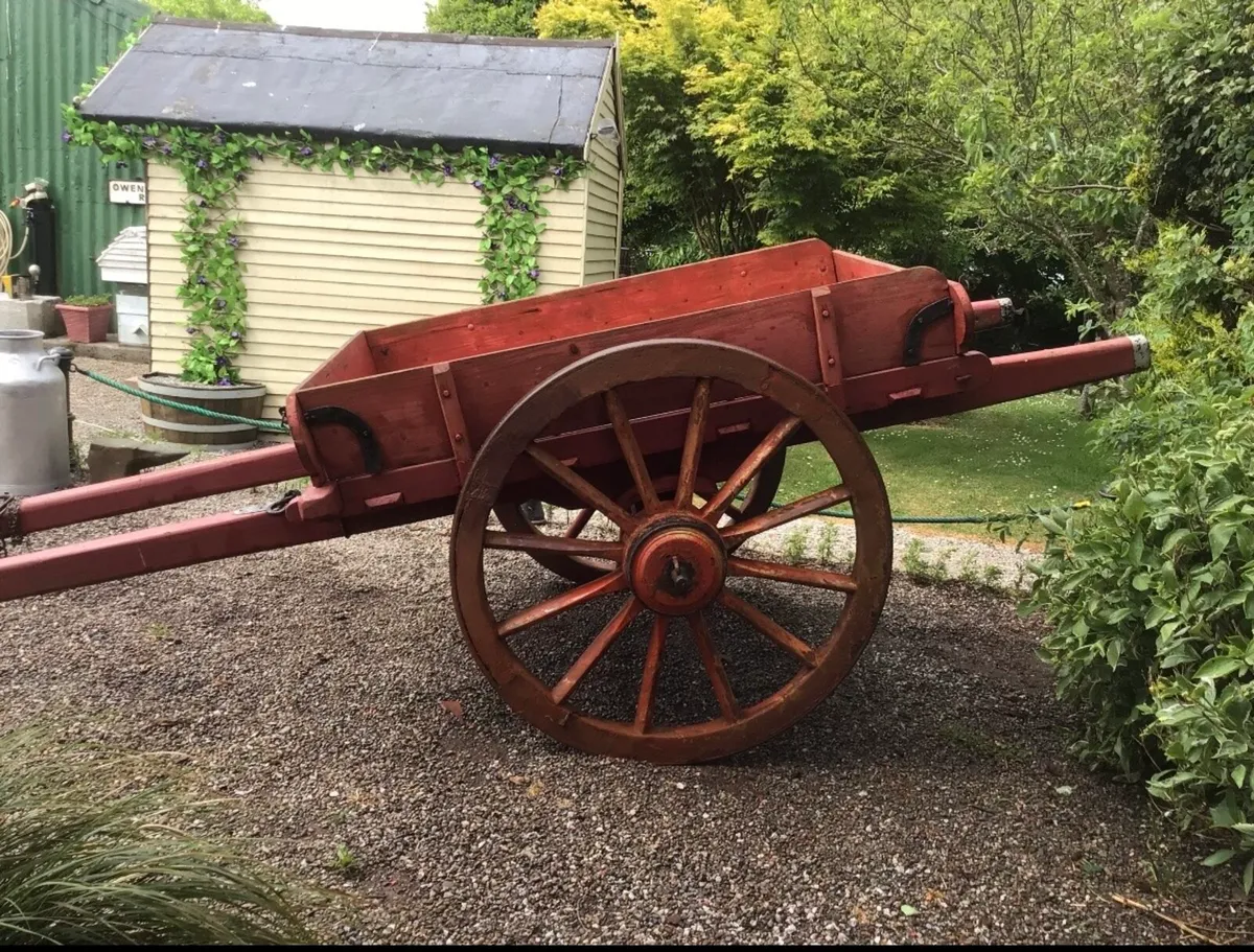 Horse car - Image 1