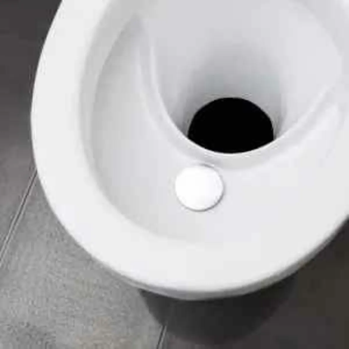 Wostman Eco dry porcelain compost toilet