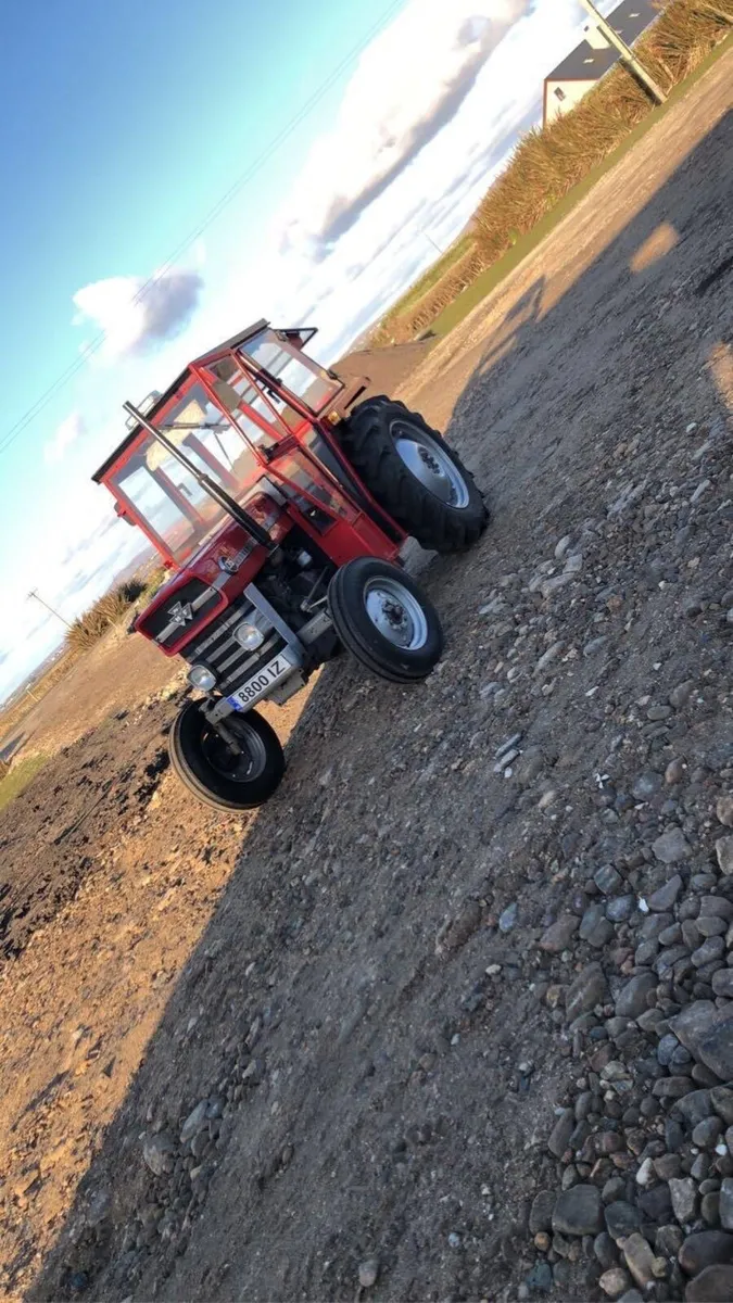 Massey Ferguson 135 - Image 4
