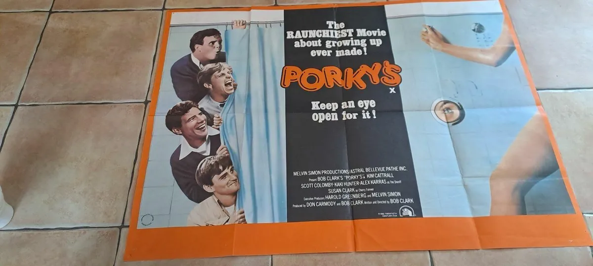 10 vintage assorted movie posters - Image 1