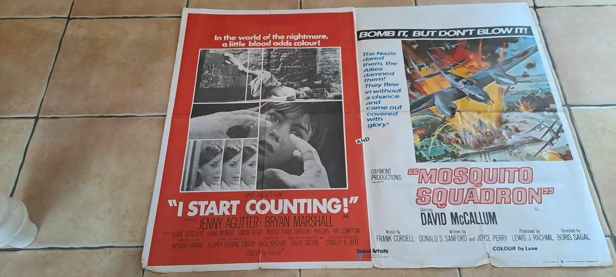 10 vintage assorted movie posters - Image 3