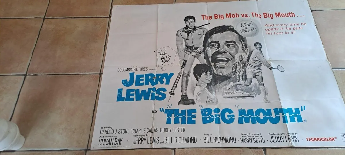 10 vintage assorted movie posters - Image 4